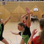 2016_01_16 Landesliga Jugend 19